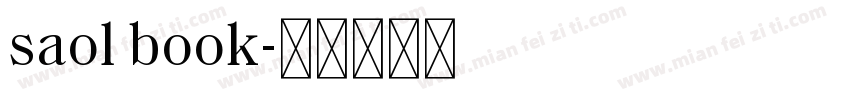 saol book字体转换